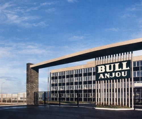Bull Anjou factory image our heritage-1