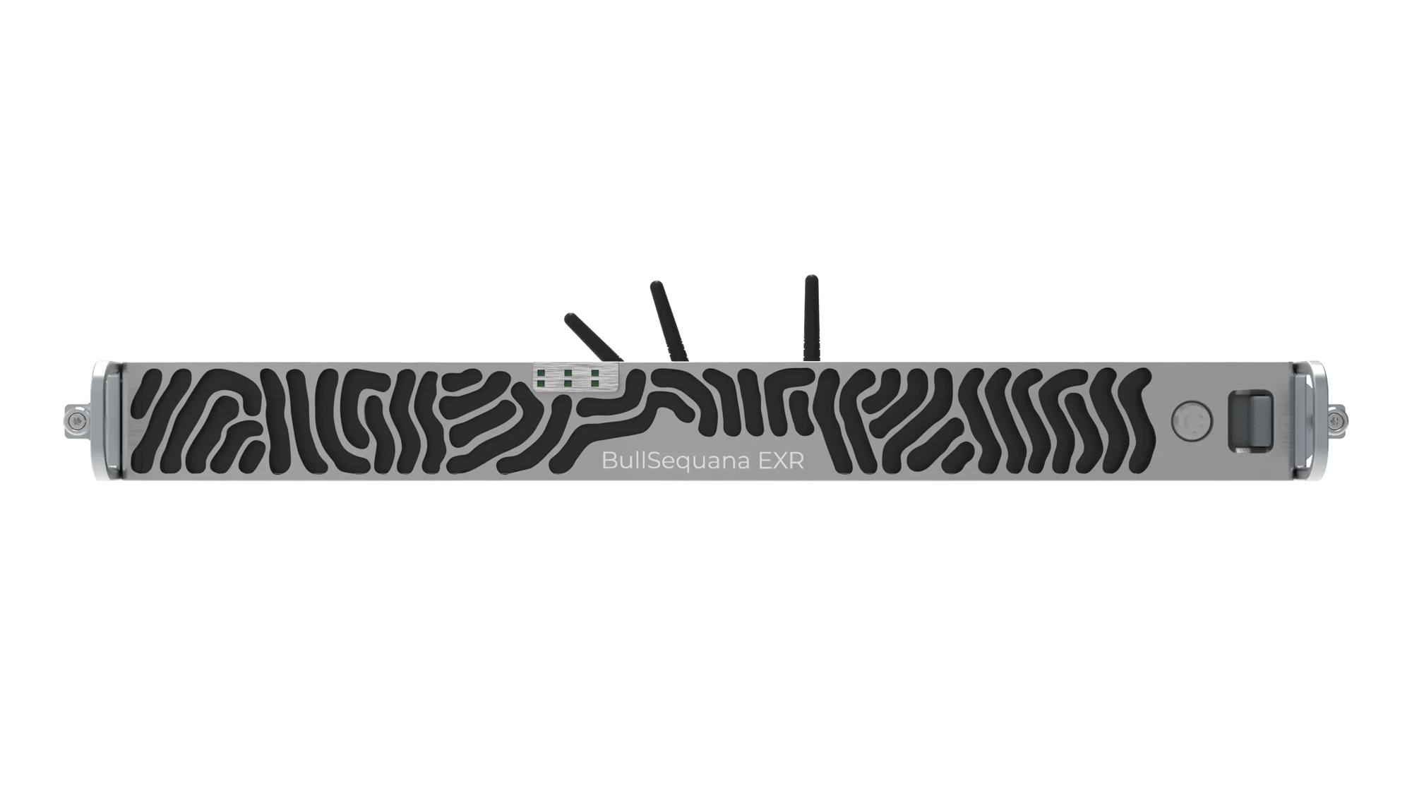 BullSeqauna EXR_webp