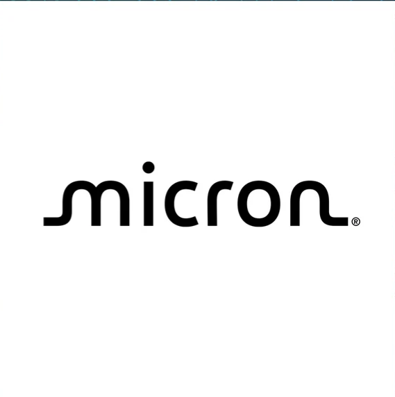 micron
