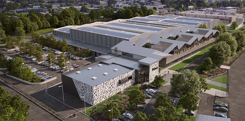 Angers Factory Bull-2