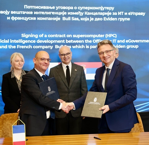 Bull tree icon mirror in a green field